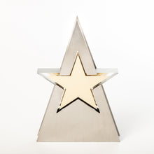 Load image into Gallery viewer, Stainless steel, acrylic trophy