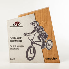 Load image into Gallery viewer, Wood - metal sports trophy