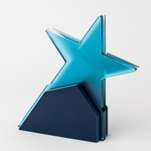 Load image into Gallery viewer, Custom FIA ERC award_custom design_custom award_digital print_Awards and Medal Studio_2