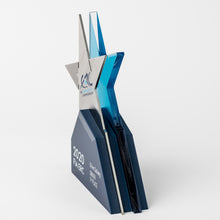 Load image into Gallery viewer, Custom FIA ERC award_custom design_custom award_digital print_Awards and Medal Studio_1
