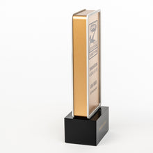 Load image into Gallery viewer, Custom sports trophy