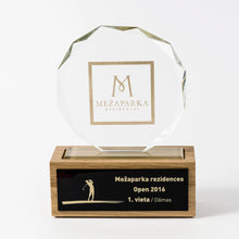 Load image into Gallery viewer, Custom glass award with gold_Awards and medal studio