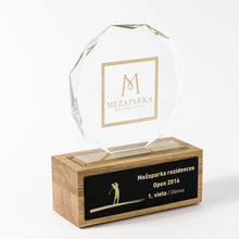 Load image into Gallery viewer, Custom glass award with gold_Awards and medal studio 1