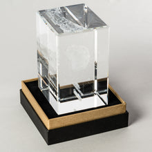 Load image into Gallery viewer, Customised optical glass with 3D engraving_custom box_2D and 3D engravings_1