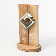 Load image into Gallery viewer, Unique custom glass wood metal award_custom design_custom print_Awards and Medal Studio