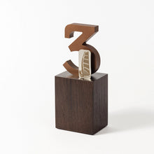 Load image into Gallery viewer, Custom acrylic wood metal award RO2 RO3 awards and medal studio 10
