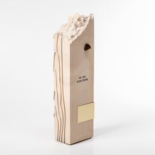 Load image into Gallery viewer, Custom sculpture award