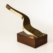 Load image into Gallery viewer, unique design award