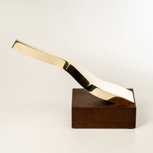 Load image into Gallery viewer, bespoke art brass award