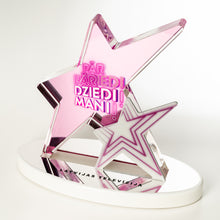 Load image into Gallery viewer, Star-shaped award with pink and silver design on a white background