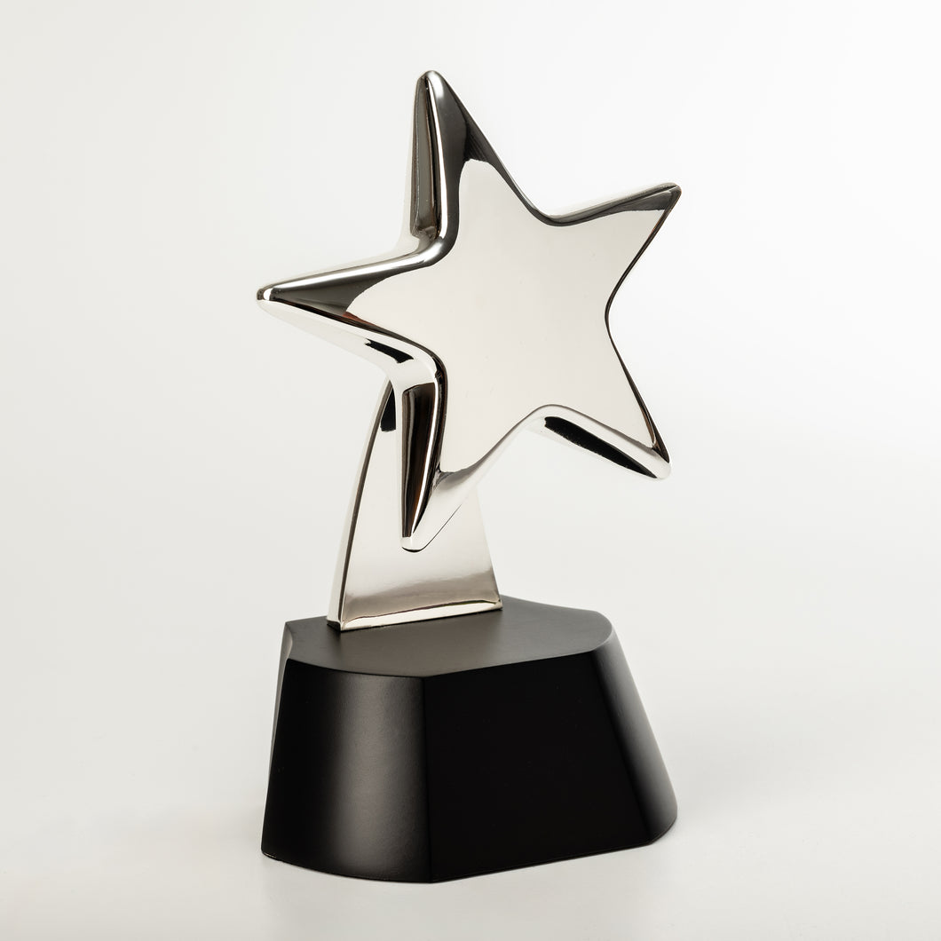 Elegant Silver polished star award