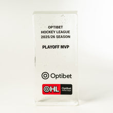 Load image into Gallery viewer, Custom hockey trophy