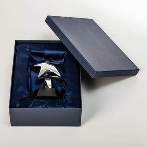 Star award with gift box