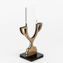 Load image into Gallery viewer, Custom Clear and glistening acrylic award_Awards and medal studio 7