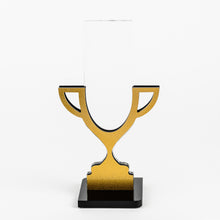 Load image into Gallery viewer, Custom Clear and glistening acrylic award_Awards and medal studio