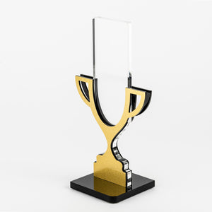 Custom Clear and glistening acrylic award_Awards and medal studio 2