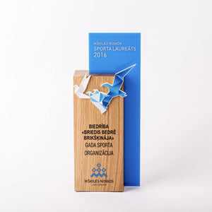 Custom hardwood oak acrylic bagde award-Awards and medal studio 3