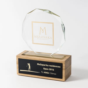 Custom glass award with gold_Awards and medal studio 2