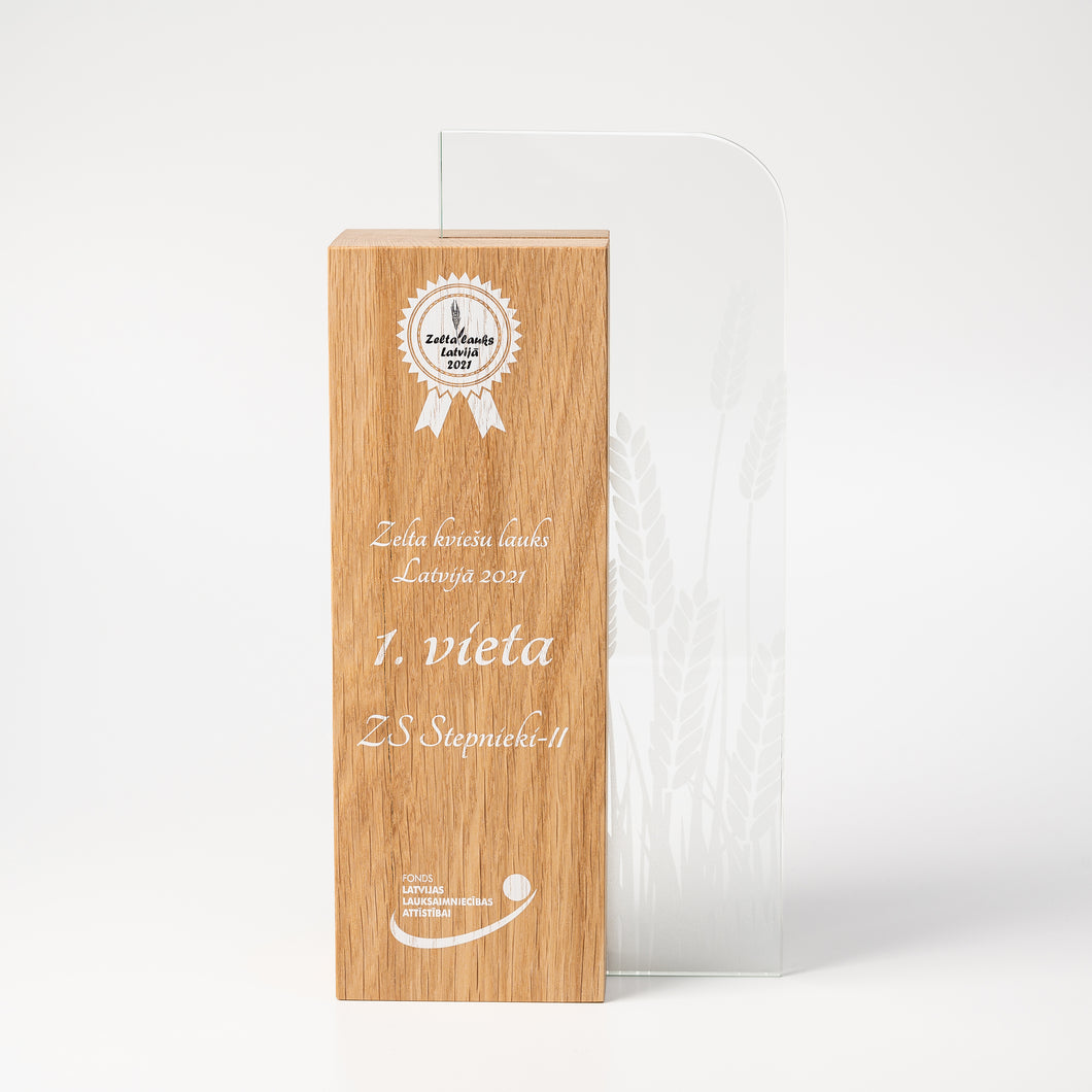 Eco- friendly wood glass trophy, unique design.