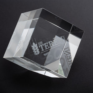 Custom crystal glass cube award