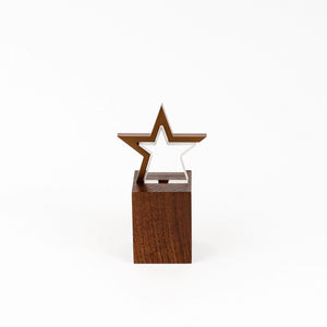 Custom bronze acrylic wood award RO4 awards and medal studio 2