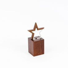 Load image into Gallery viewer, Custom bronze acrylic wood award RO4 awards and medal studio