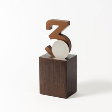 Load image into Gallery viewer, Custom acrylic wood metal award RO2 RO3 awards and medal studio 9