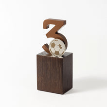 Load image into Gallery viewer, Custom acrylic wood metal award RO2 RO3 awards and medal studio 8