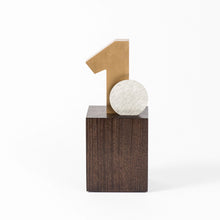 Load image into Gallery viewer, Custom acrylic wood metal award RO2 RO3 awards and medal studio 4