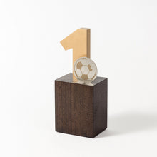 Load image into Gallery viewer, Custom acrylic wood metal award RO2 RO3 awards and medal studio