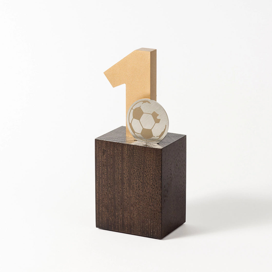 Custom acrylic wood metal award RO2 RO3 awards and medal studio