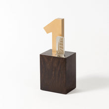 Load image into Gallery viewer, Custom acrylic wood metal award RO2 RO3 awards and medal studio 2