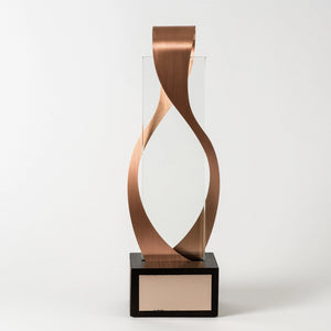 Custom premium class bronze glass metal wood award RO10 awards and medal studio