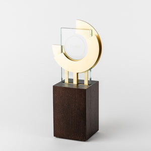 impressive custom metal glass wood award gold RO7 awards and medal studio 1