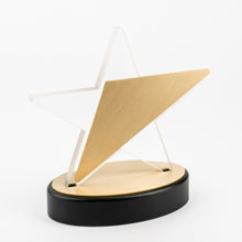 Load image into Gallery viewer, Custom acrylic metal award gold RO12 awards and medal studio 2