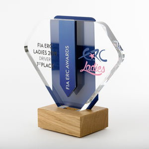 Striking bespoke acrylic aluminium wood award_ digital print_Awards and Medal Studio 2